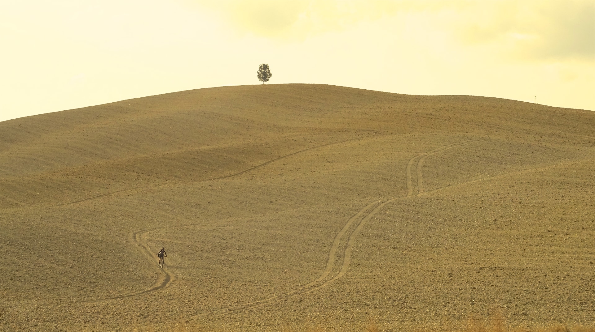 colline maremma in bicicletta